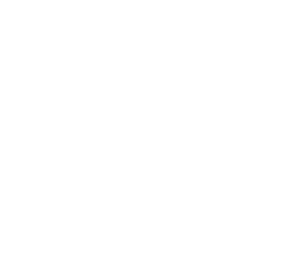 image (40)