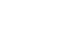 logo Anik